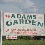 Adams Garden