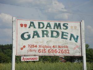 Adams Garden