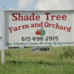 Shade Tree Farm and Orchard