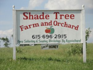 Shade Tree Farm and Orchard